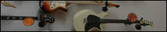 Guitars