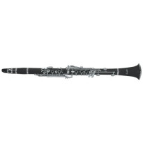 Steinhoff Intermediate Bb Clarinet (Black)