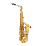 Steinhoff Student Tenor Saxophone (Gold)